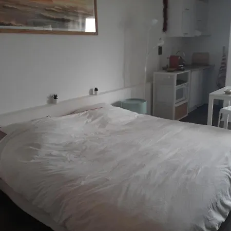 Apartment Biarritz, 1 Piece, 2 Personnes - Fr-1-239-536